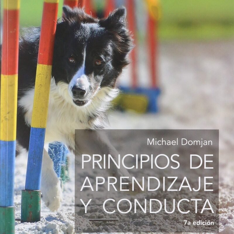 Libro -  Principios De Aprendizaje Y Conducta 7 Ed