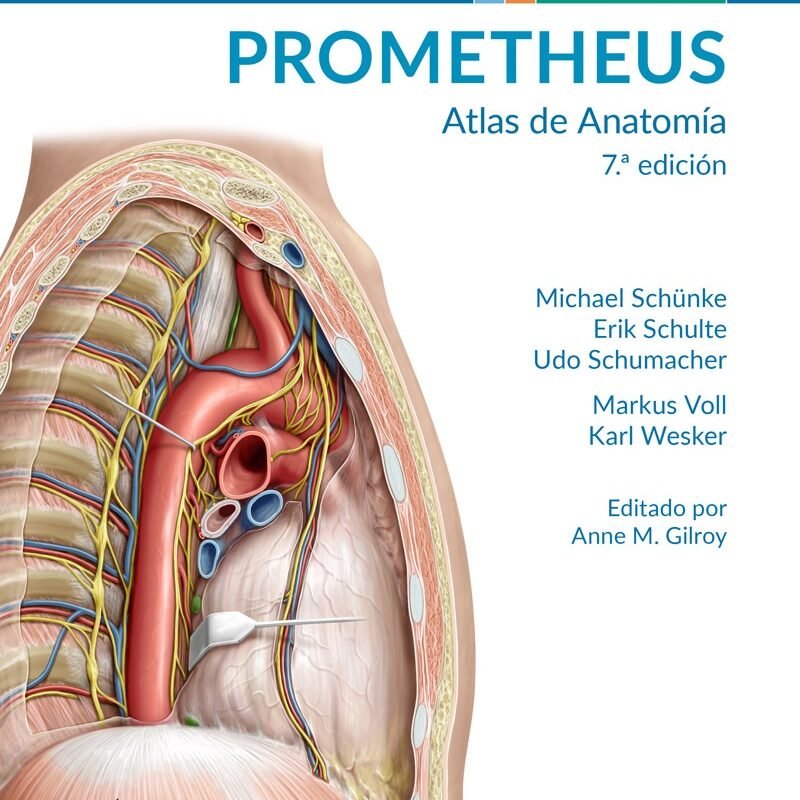 PROMETHEUS. Atlas de Anatomía. Fichas de autoevaluación Tomo 2: Órganos internos